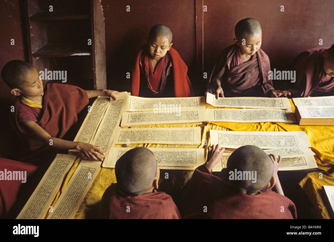 Les jeunes moines tibétains du monastère, textes religieux, Dharamsala, Inde Banque D'Images