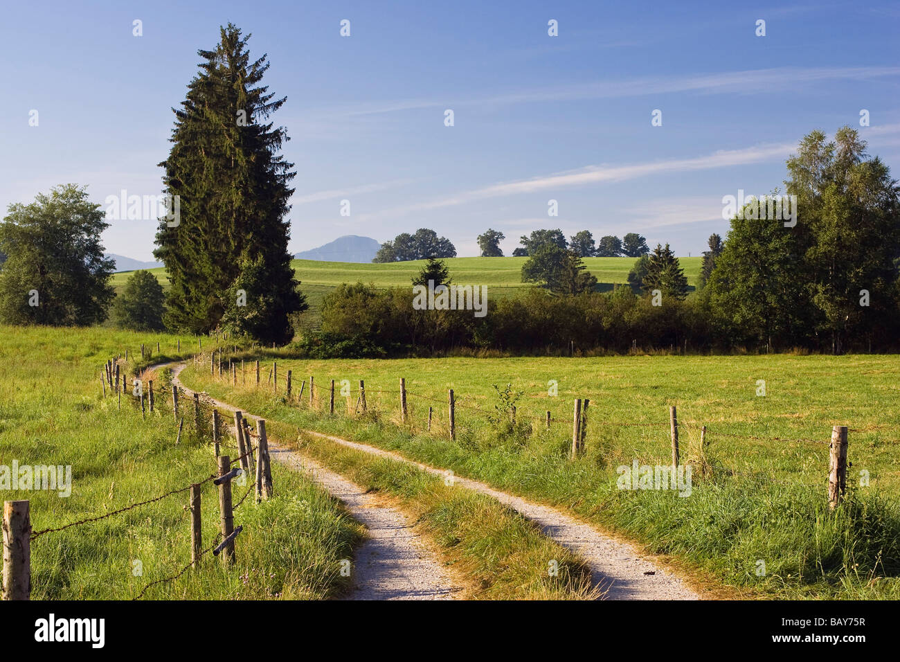 La voie winding travers les pâturages de montagne, alpin, Bavière, Allemagne Banque D'Images