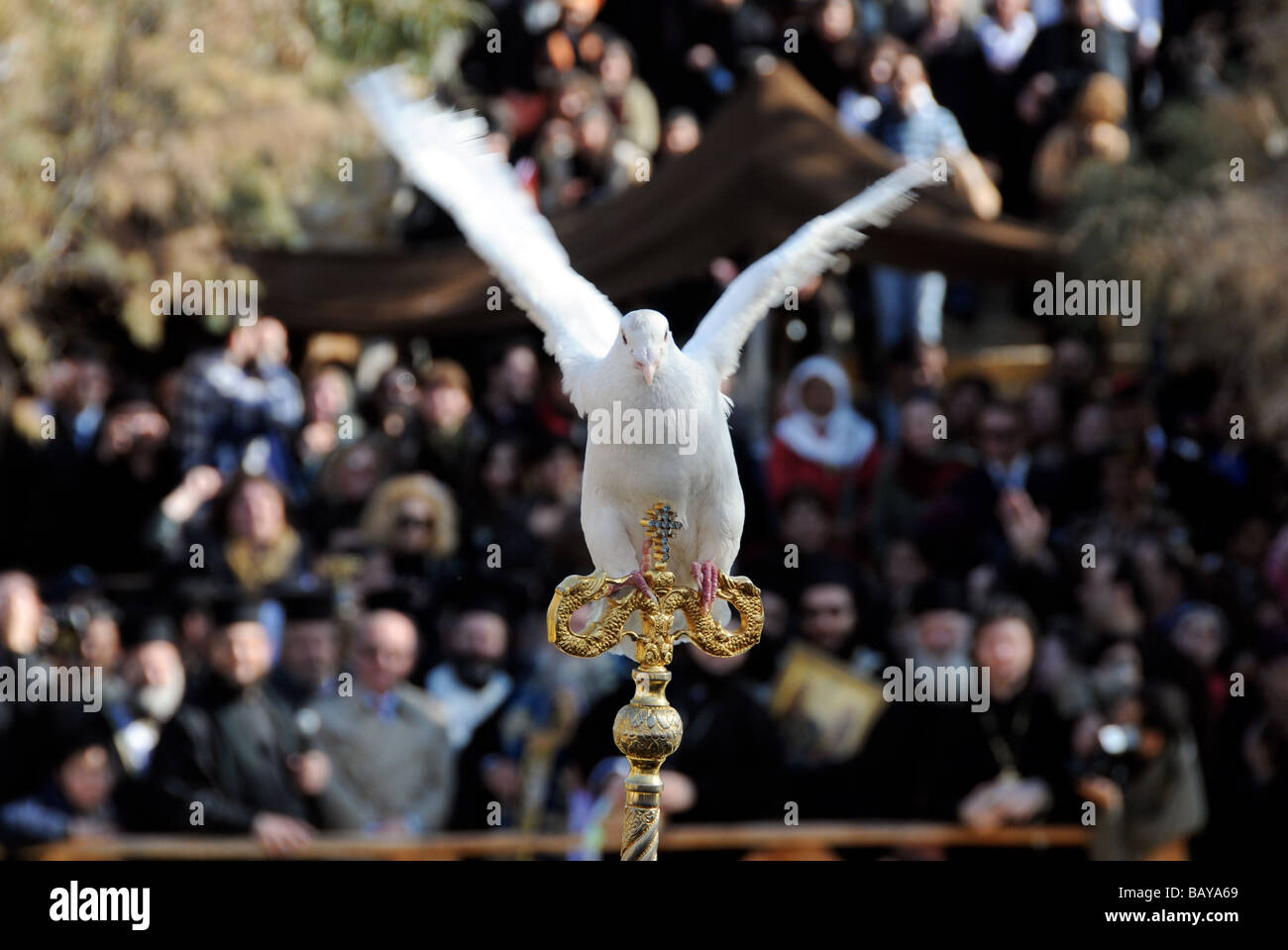 Une Colombe Est Publie Dans Le Cadre D Une Ceremonie De Bapteme Masse Chretienne Sur Les Rives Du Jourdain En Israel Et En Jordanie Photo Stock Alamy Une Colombe Est Publie Dans Le Cadre D Une Ceremonie De Bapteme Masse Chretienne Sur Les Rives Du Jourdain En Israel Et En Jordanie Photo Stock Alamy