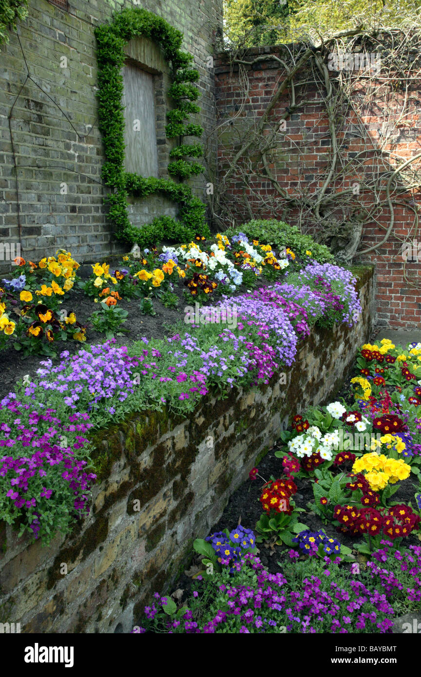 Les fleurs de printemps dans les jardins par l'ancienne étable à Beckenham Place Park, Lewisham. Banque D'Images