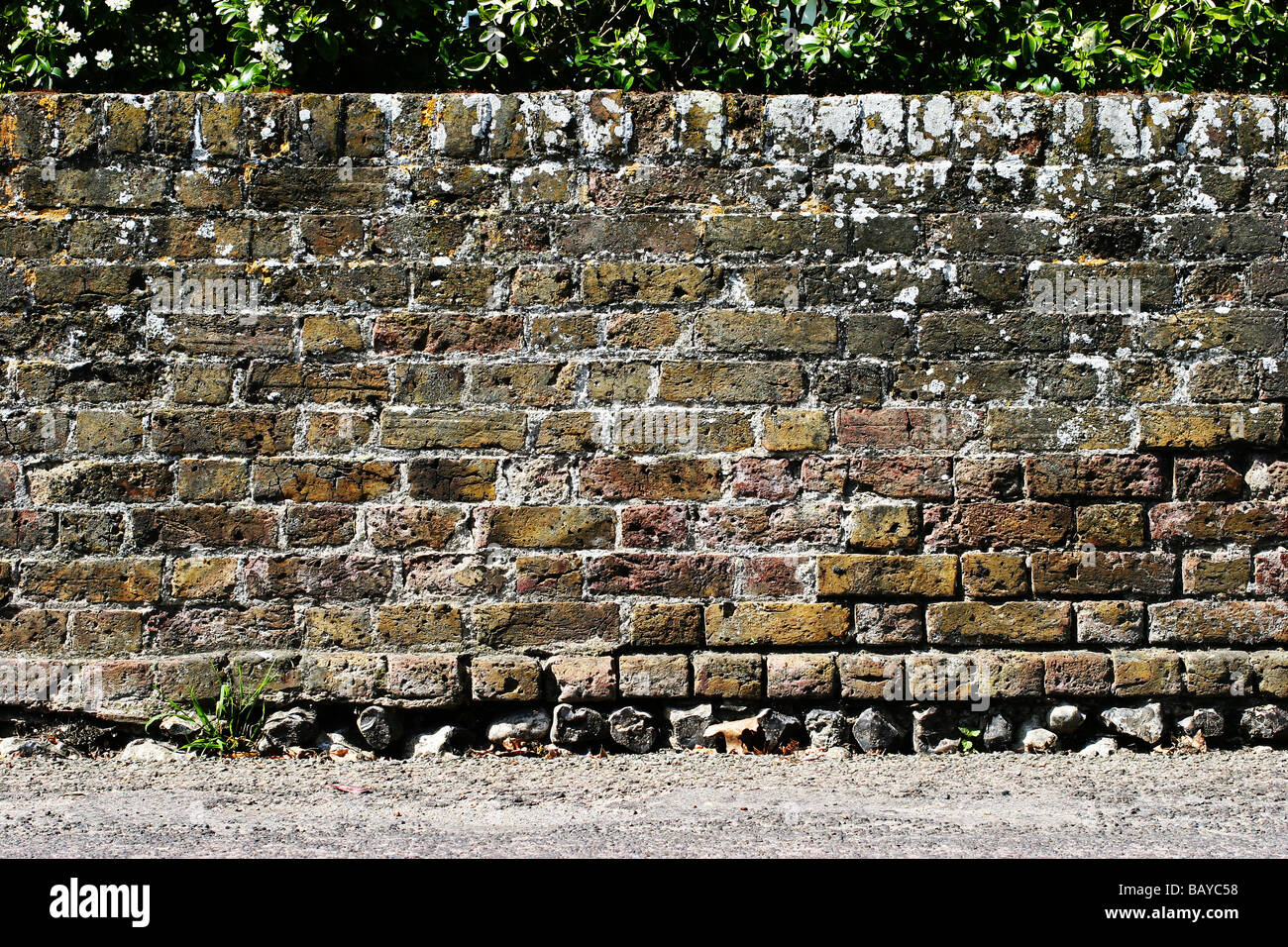 Mur de brique à silex au bas Kent UK Banque D'Images