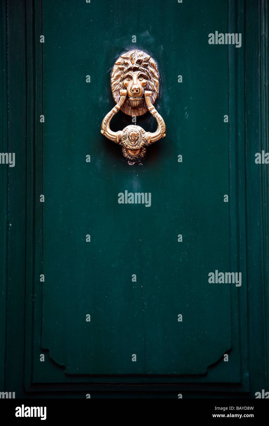 Porte Verte lion heurtoir en laiton Banque D'Images