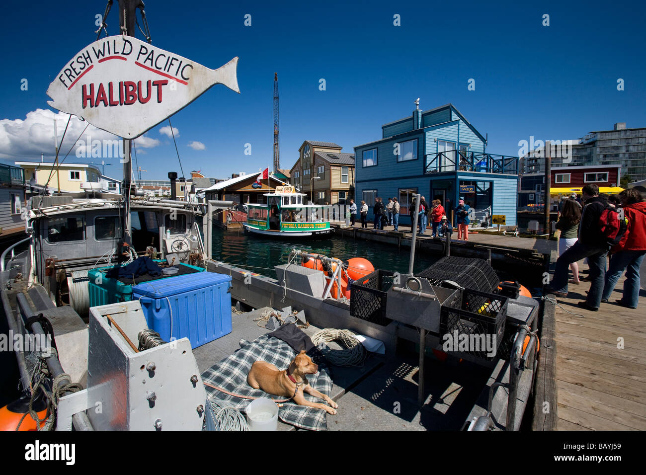 Fisherman's Wharf de Victoria, Colombie-Britannique, Canada. Banque D'Images