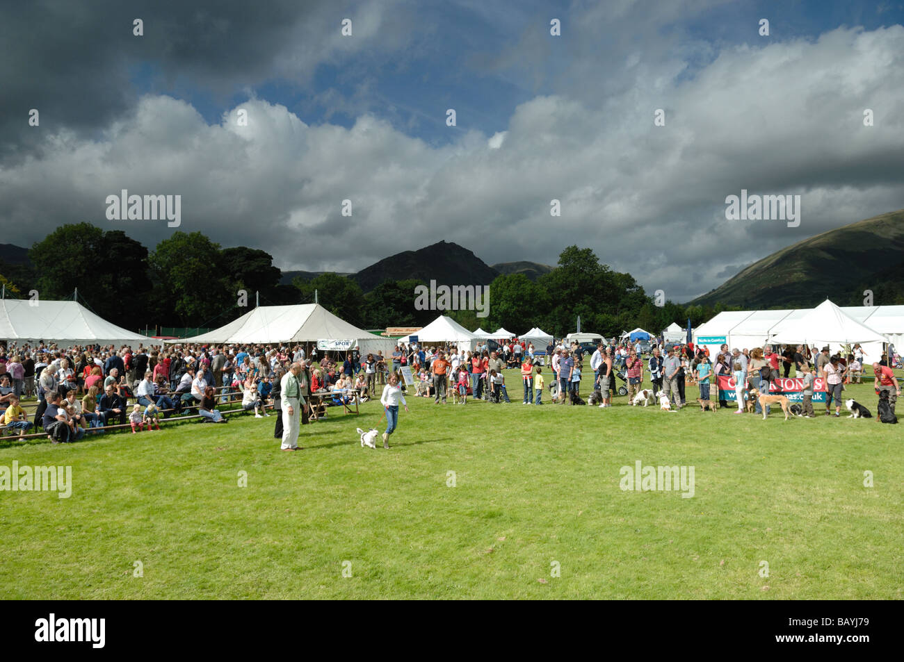 Le dog show à Grasmere Sports traditionnels un événement annuel dans le Lake District Banque D'Images