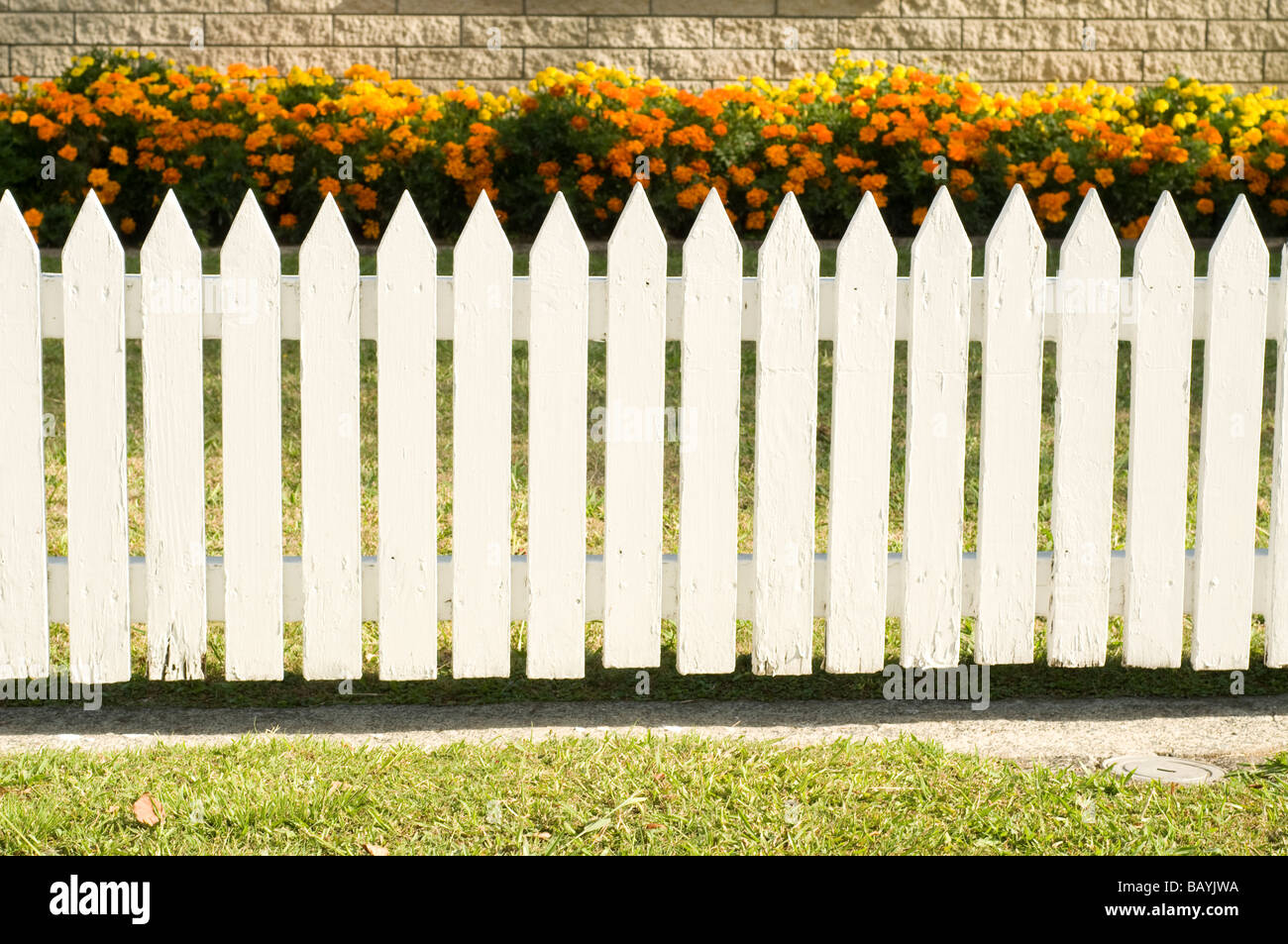 Clôture blanche avec lit de fleur Banque D'Images