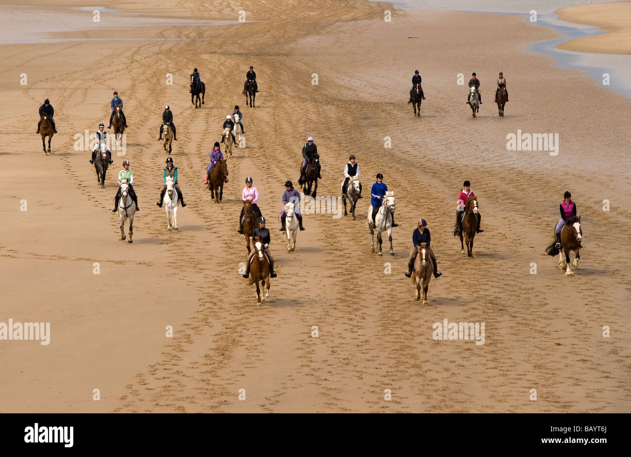 L'exercice de chevaux sur la plage Banque D'Images