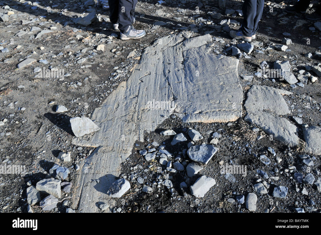 Les stries glaciaires et de l'abrasion des rayures sur une surface de roche de basalte, Dyrholaey pointe, le sud de l'Islande Banque D'Images