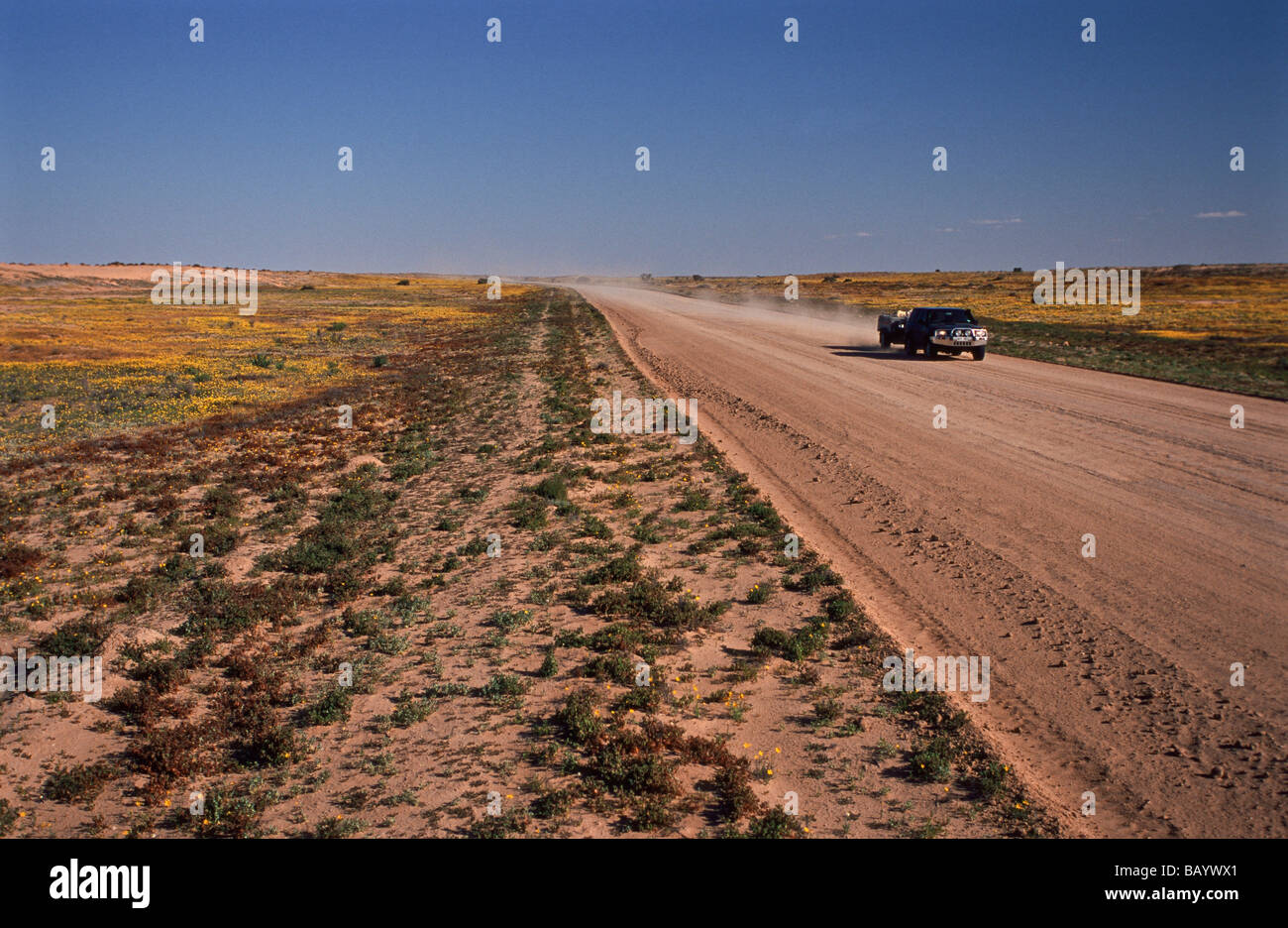 Strzelecki Track, outback Australie Banque D'Images