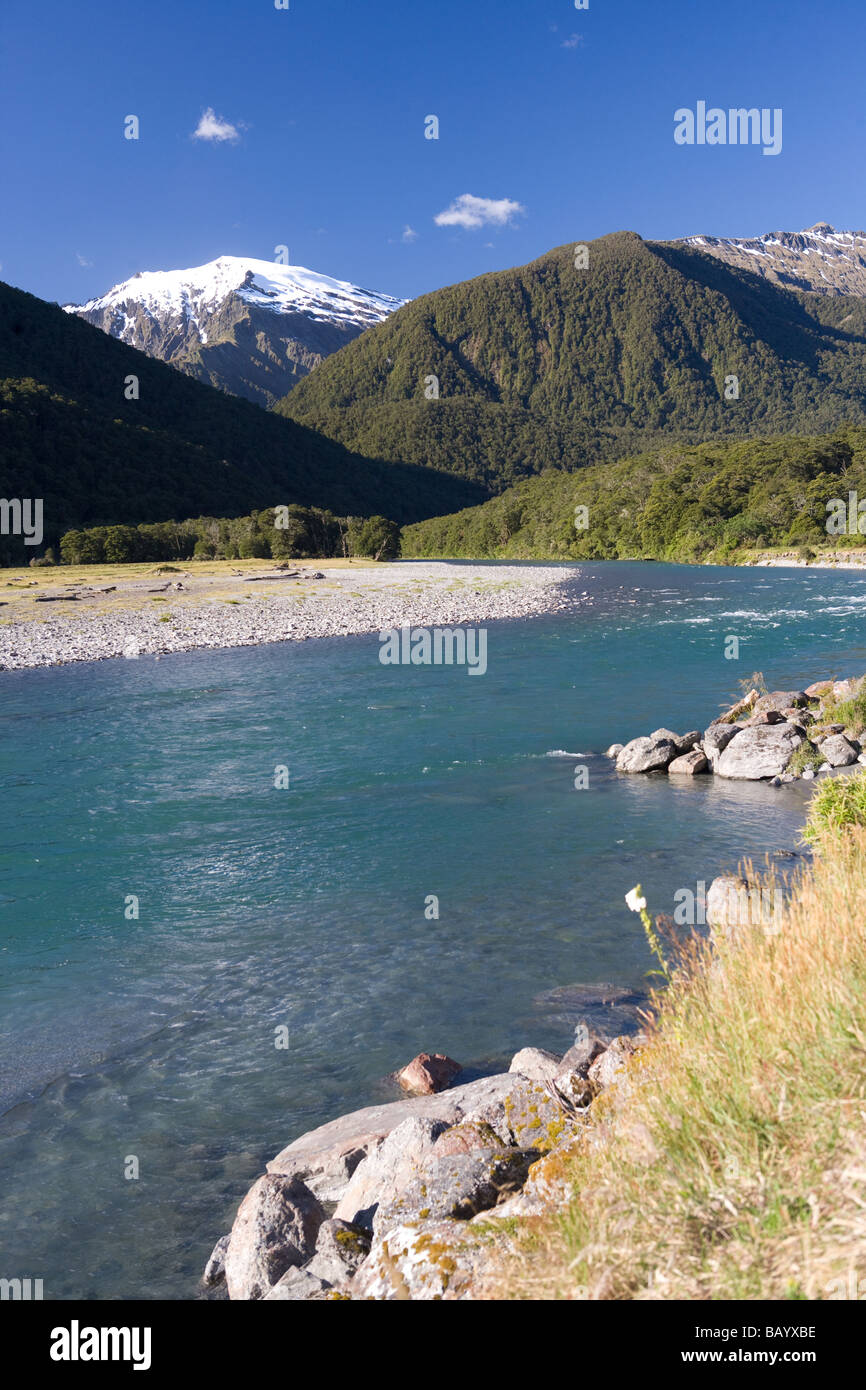 Makarora River National Park en herbe ile sud Nouvelle Zelande Banque D'Images