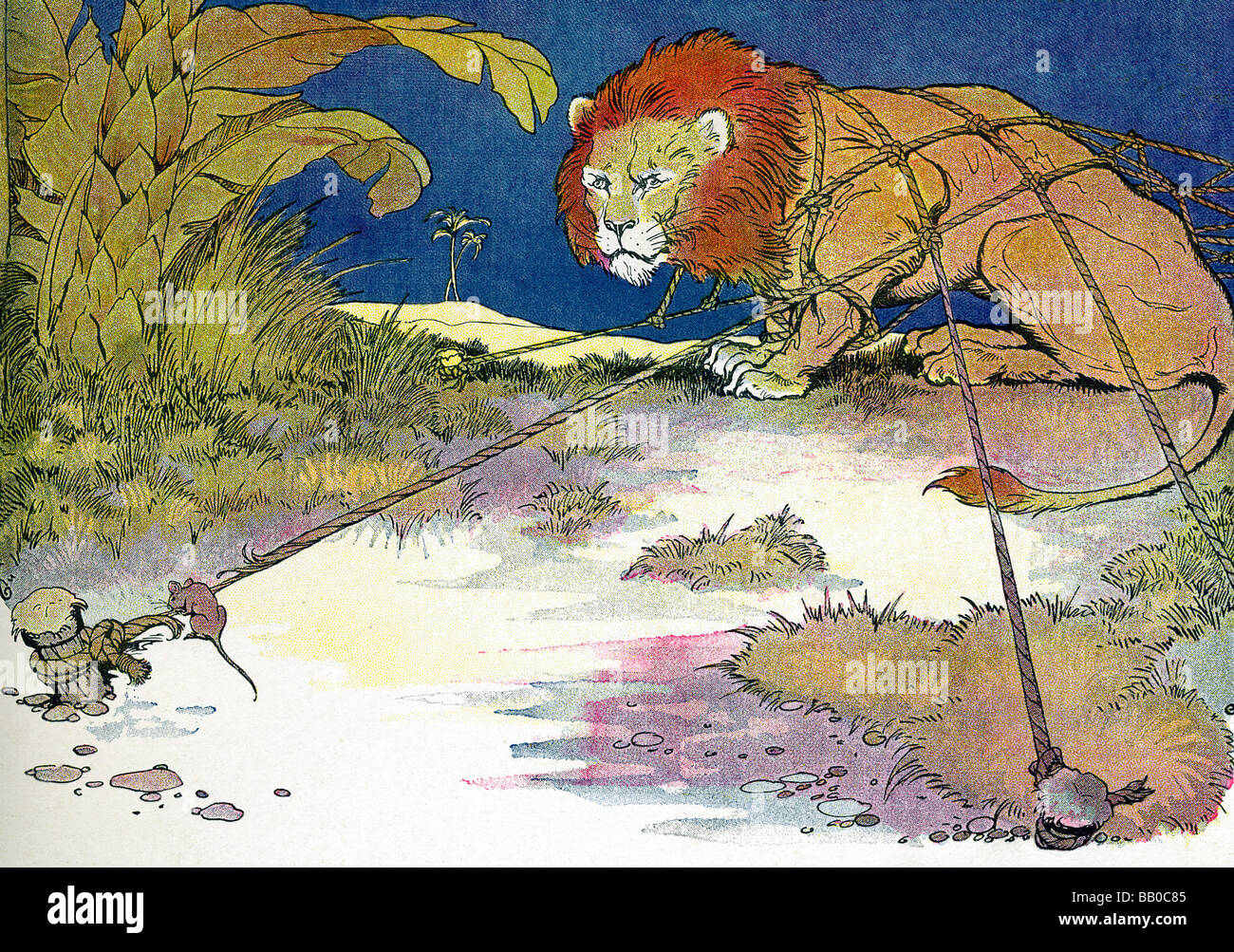 Le lion et la souris Banque de photographies et d'images à haute résolution  - Alamy