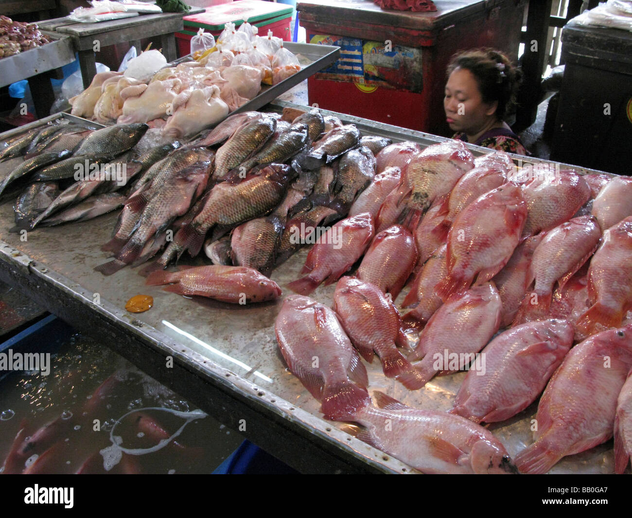 Décrochage du poisson au marché aux poissons de Bangkok Thaïlande Banque D'Images