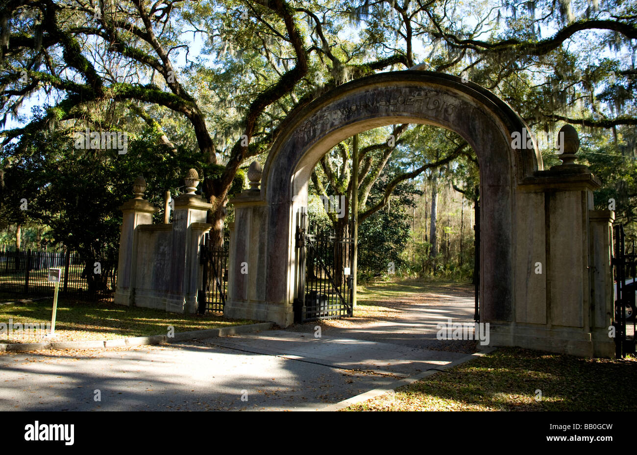 Savannah en Géorgie aux États-Unis. Site historique Wormsloe . Mille de Long Live Oak Avenue Banque D'Images