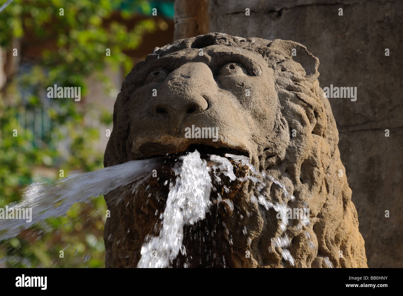 Fontaine du Lion à Barcelone, Espagne Banque D'Images