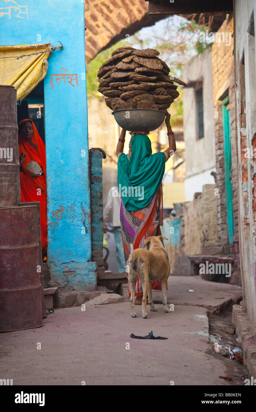 Femme transportant de la bouse de vache séchée de carburant dans Fatehpur Sikri Inde Banque D'Images
