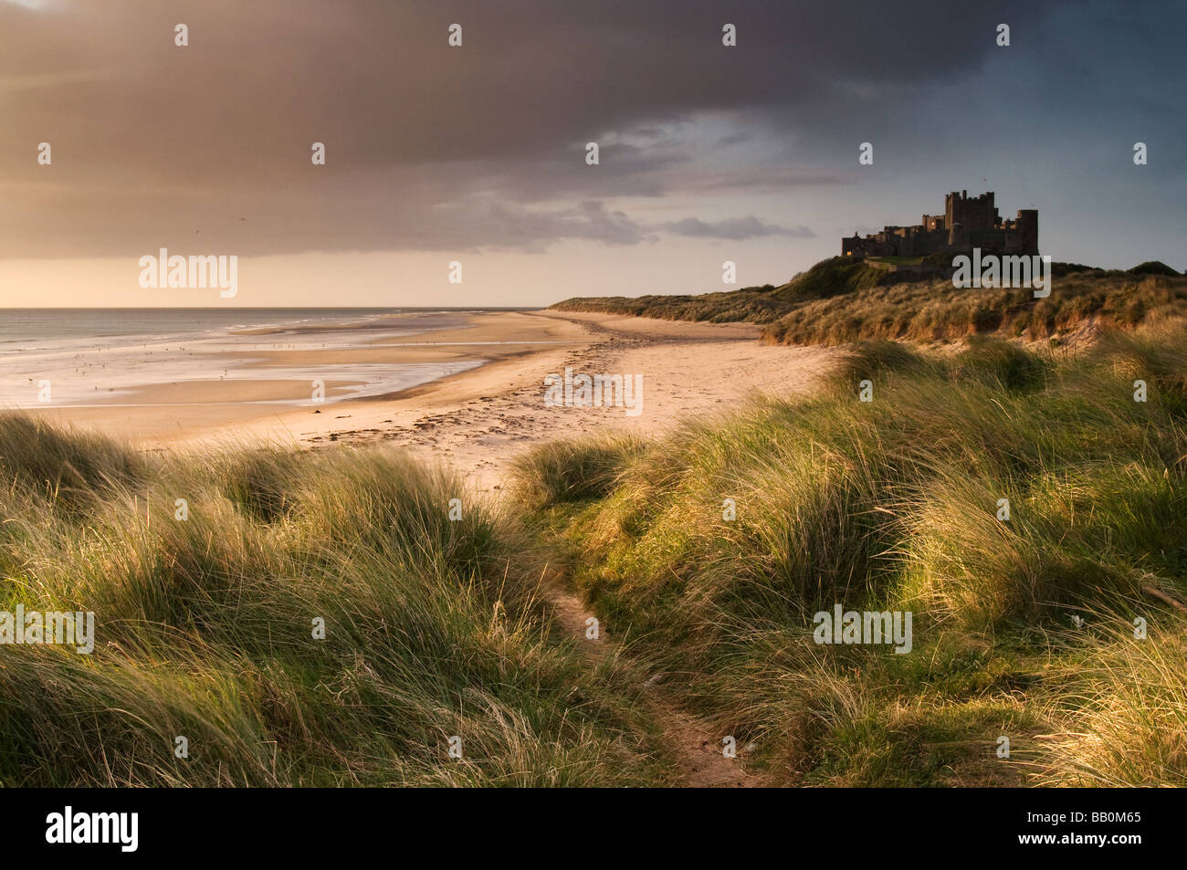 Château de Bamburgh, représenté à la lumière tôt le matin Banque D'Images