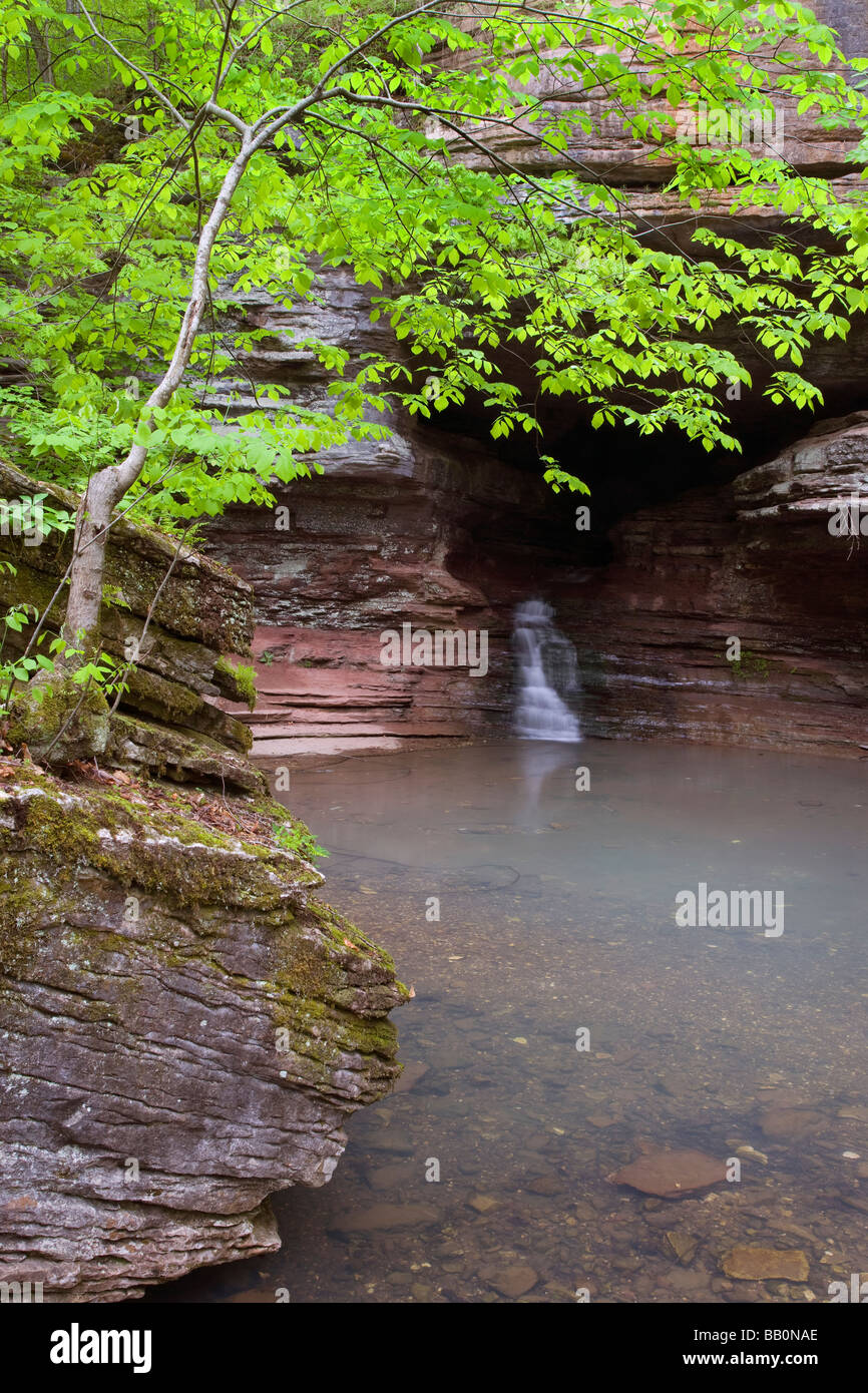 Clark Creek le long du sentier de la Vallée Perdue, Buffalo River, l'Arkansas Banque D'Images