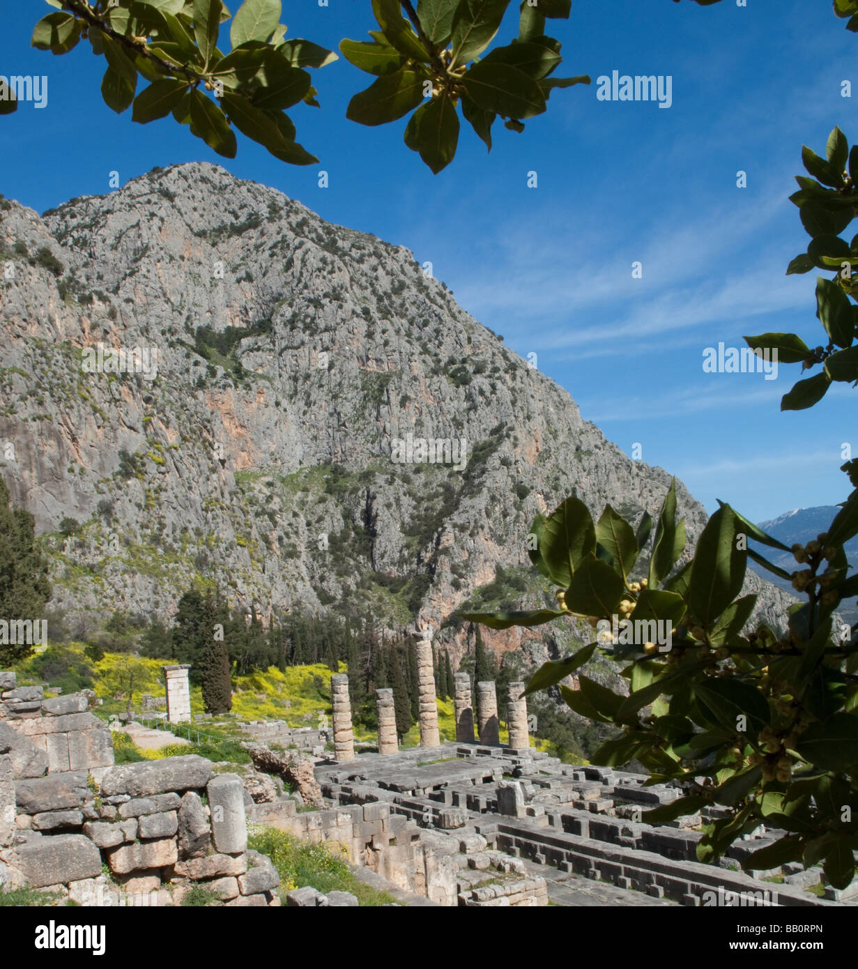 Oracle de delphi Banque de photographies et d’images à haute résolution Alamy