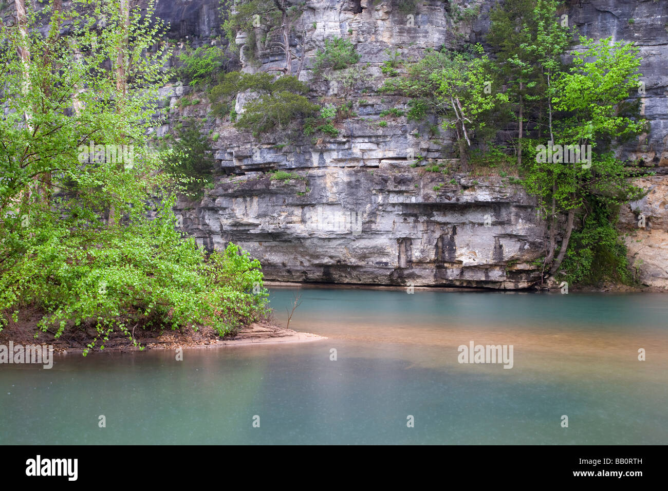 Sur les falaises de la rivière Buffalo, Buffalo River, l'Arkansas Banque D'Images