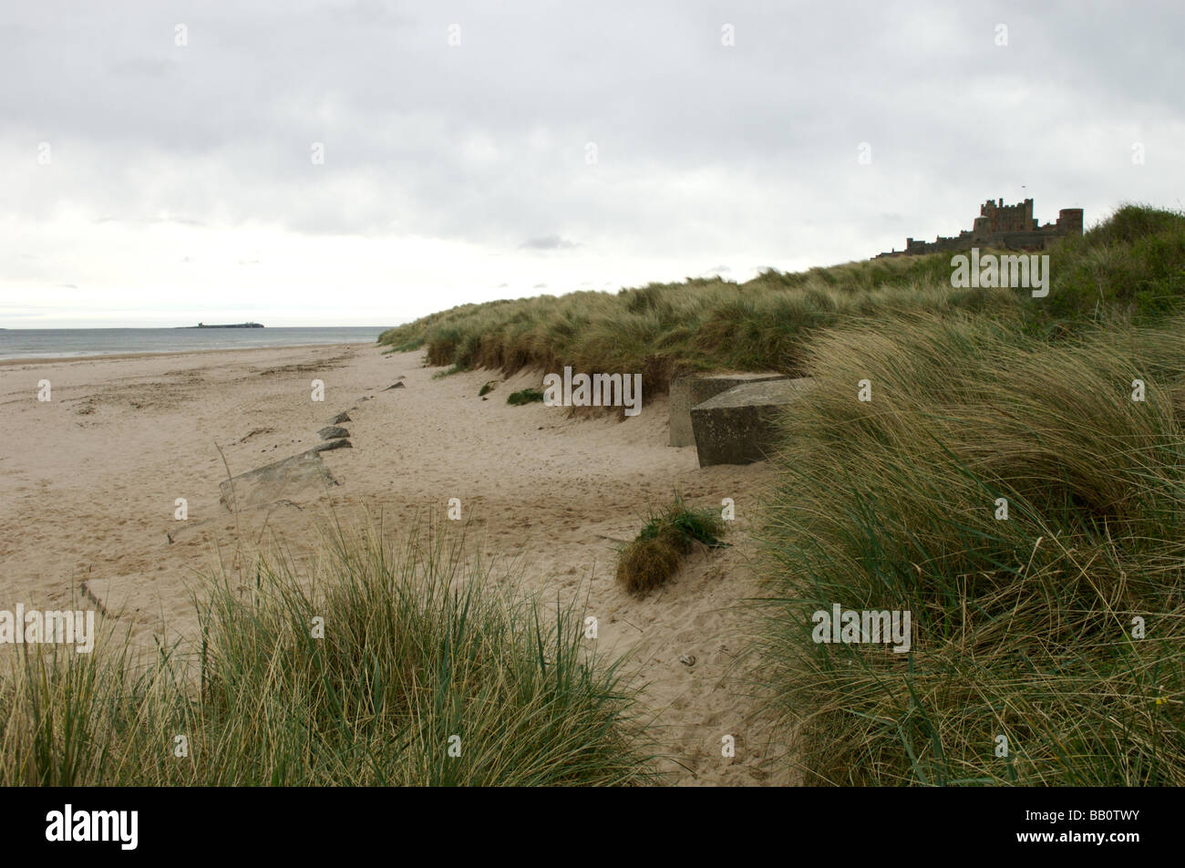 Plage de Bamburgh et château, Northumberland Banque D'Images