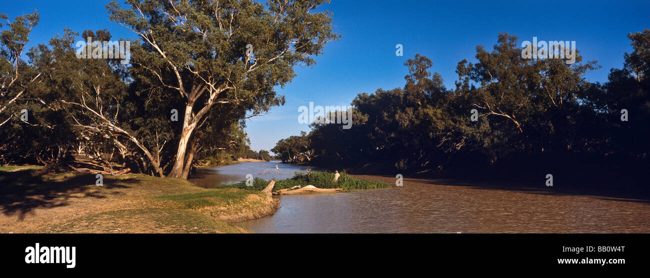 Cooper Creek, Australie du Sud Banque D'Images