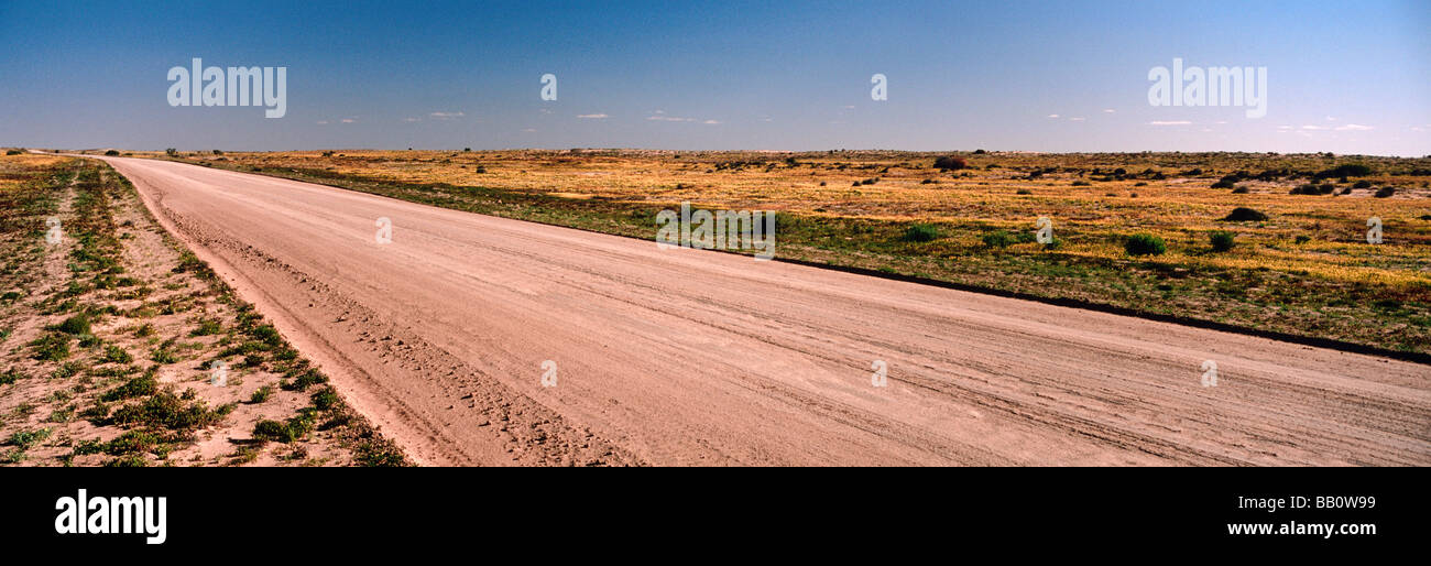 Strzelecki Track, outback Australie du Sud Banque D'Images