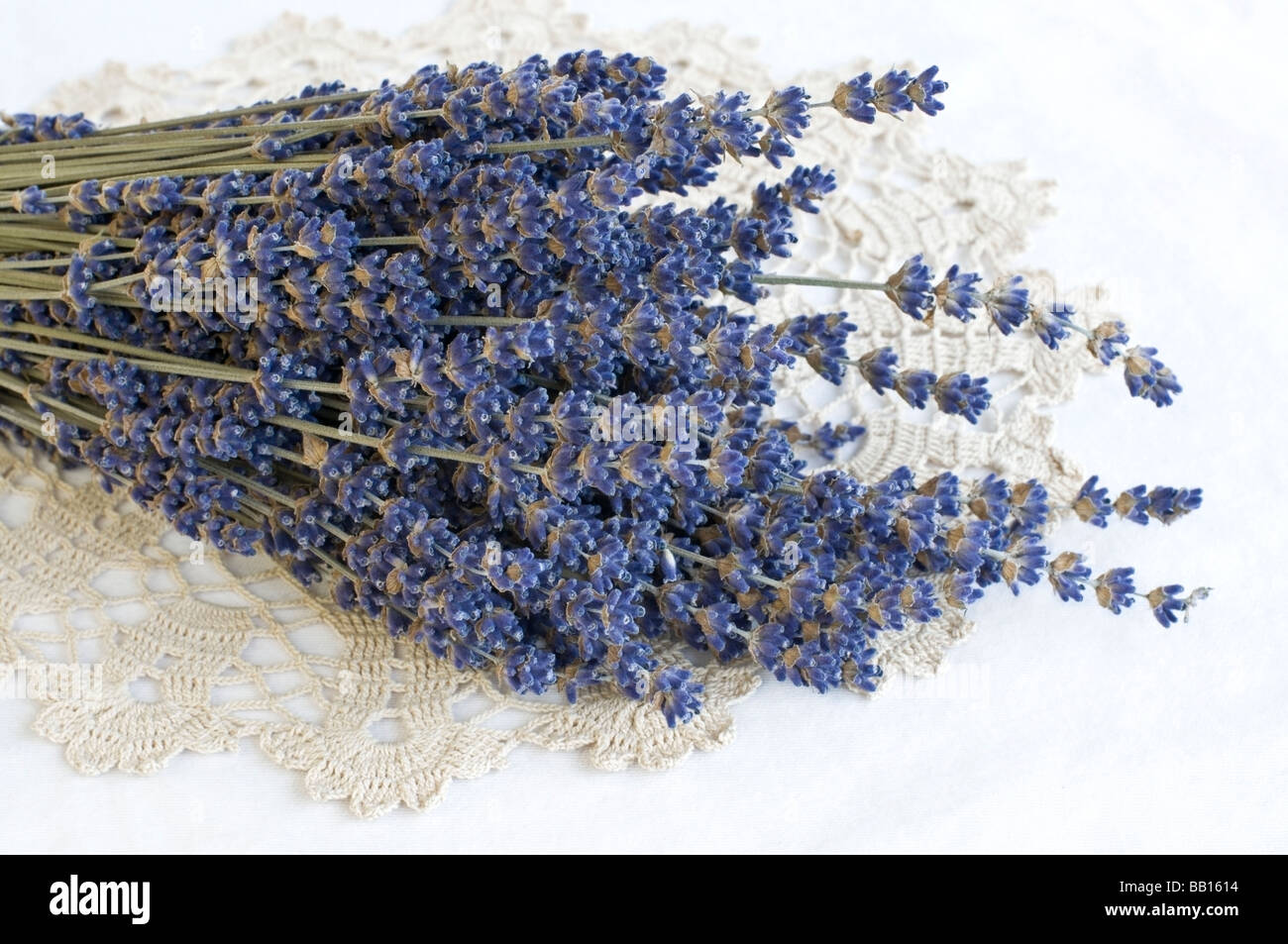 Ensemble de fleurs de lavande séchées sur le napperon en dentelle. Banque D'Images