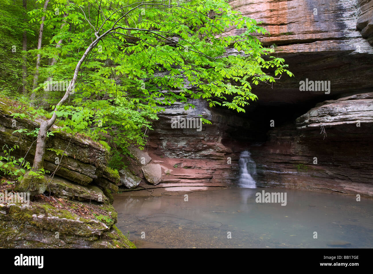 Clark Creek le long du sentier de la Vallée Perdue, Buffalo River, l'Arkansas Banque D'Images
