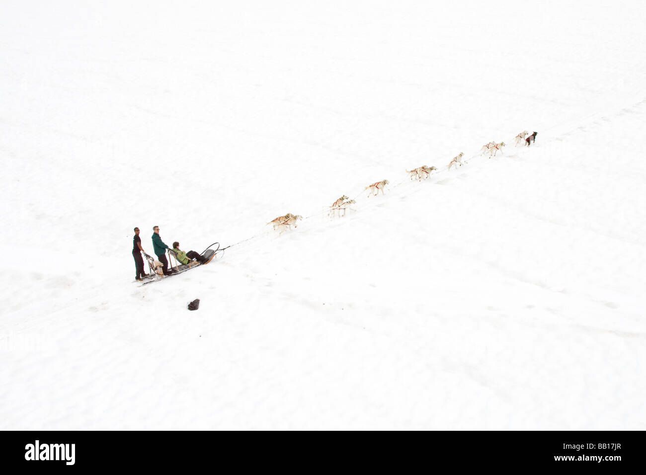 Traîneau à chiens sur un glacier en Alaska Banque D'Images