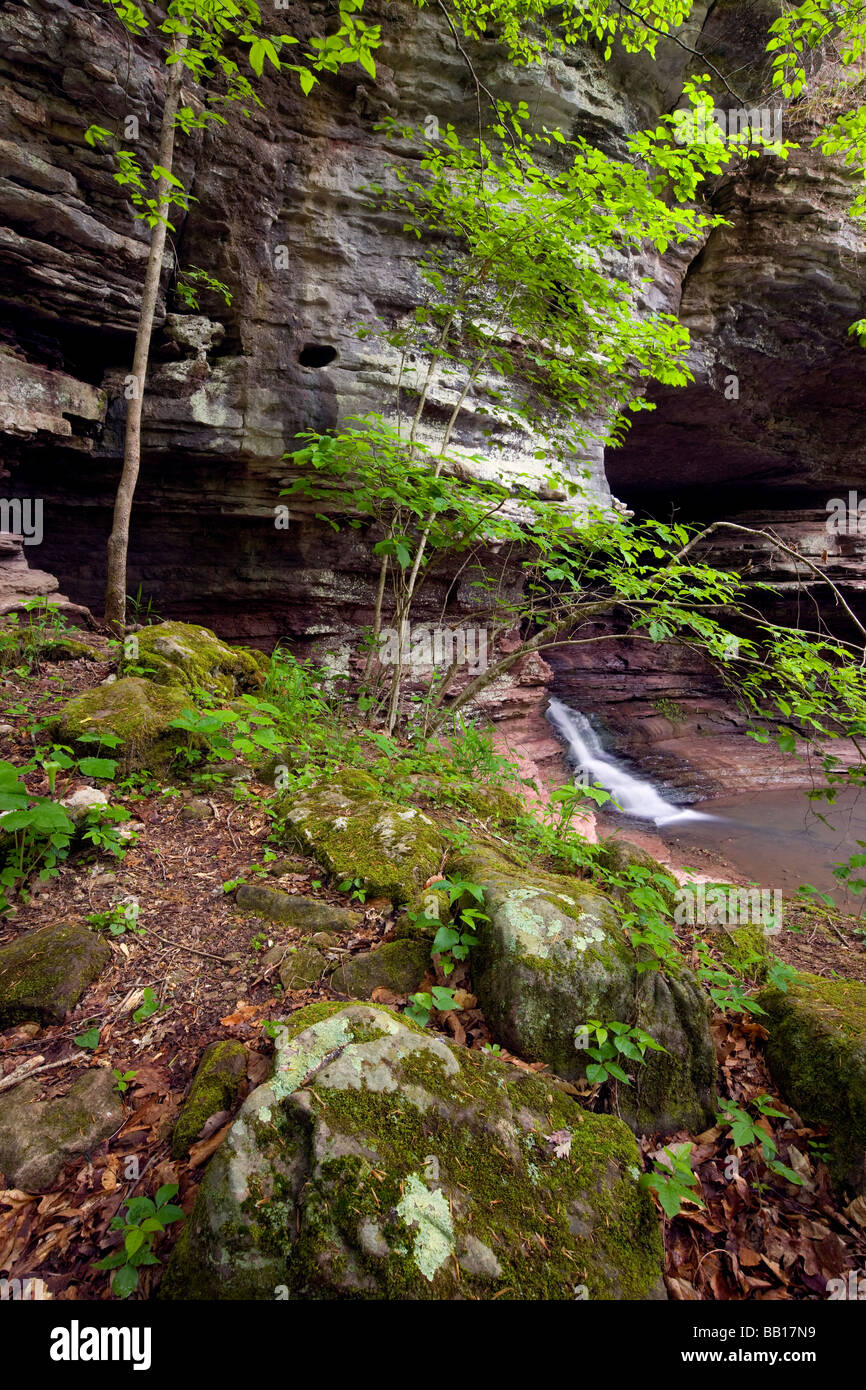 Clark Creek le long du sentier de la Vallée Perdue, Buffalo River, l'Arkansas Banque D'Images