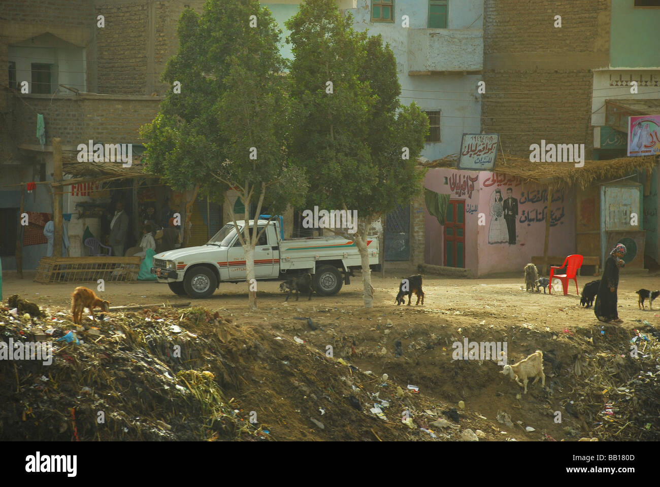 Afrique Moyen-Orient Egypte Egyptian - chèvres fouillent dans les ordures des déchets Déchets déchets dans une petite ville près de Luxor Banque D'Images