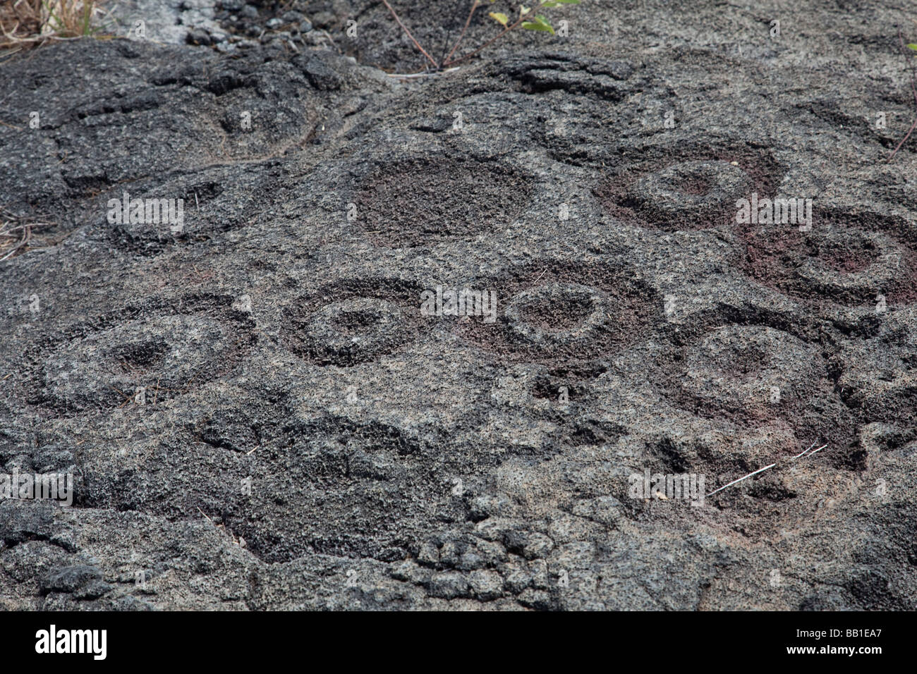 Hawaiian anciens pétroglyphes Big Island Hawaii Banque D'Images