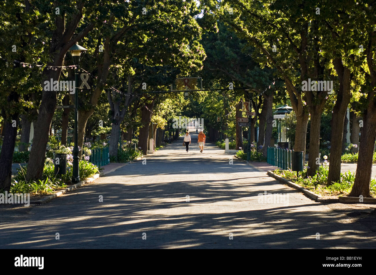 L'Avenue du gouvernement qui traverse le centre de la Gardens, Cape Town, Afrique du Sud. Banque D'Images