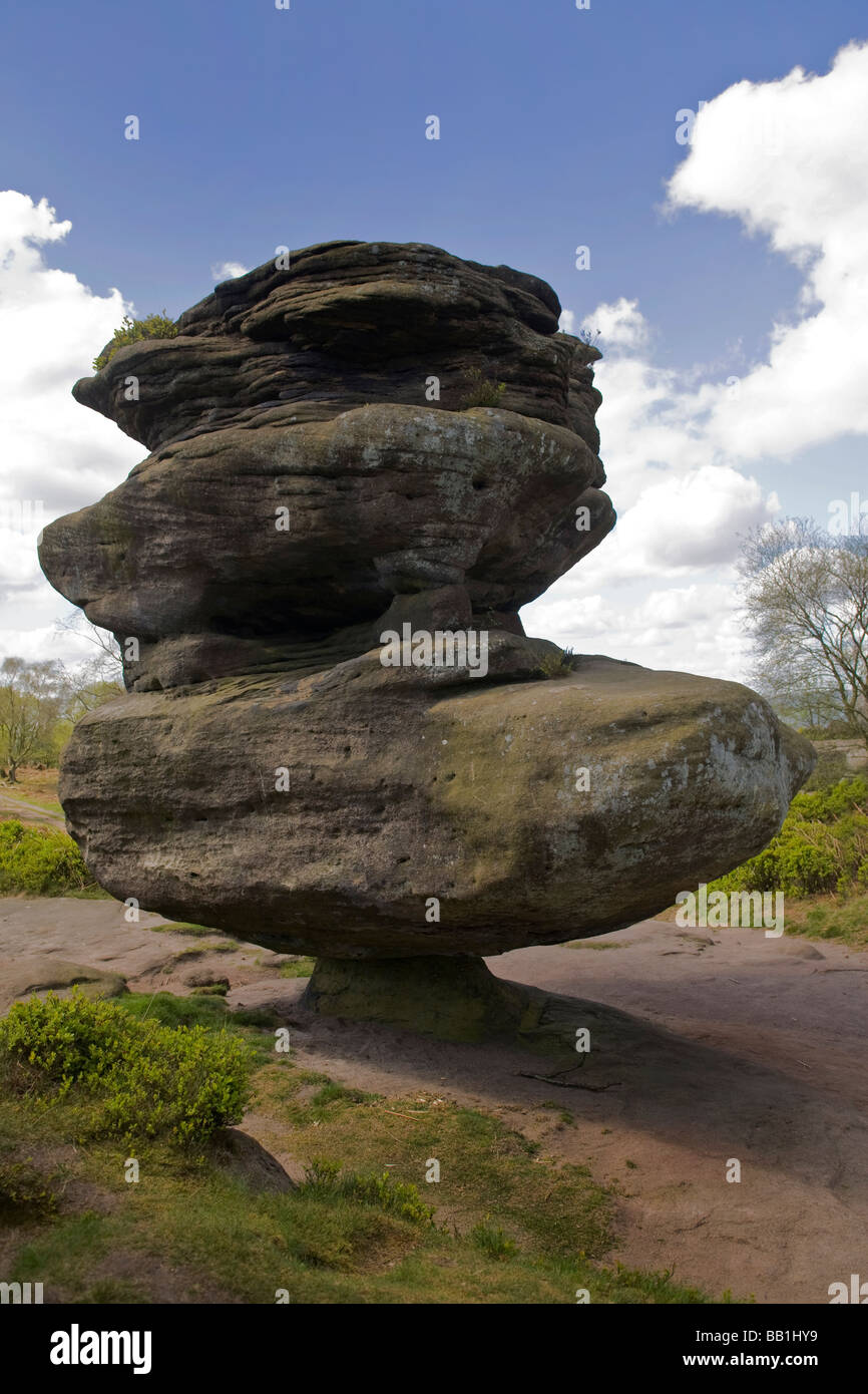 Brimham Rocks à roches, Yorkshire du Nord. Banque D'Images