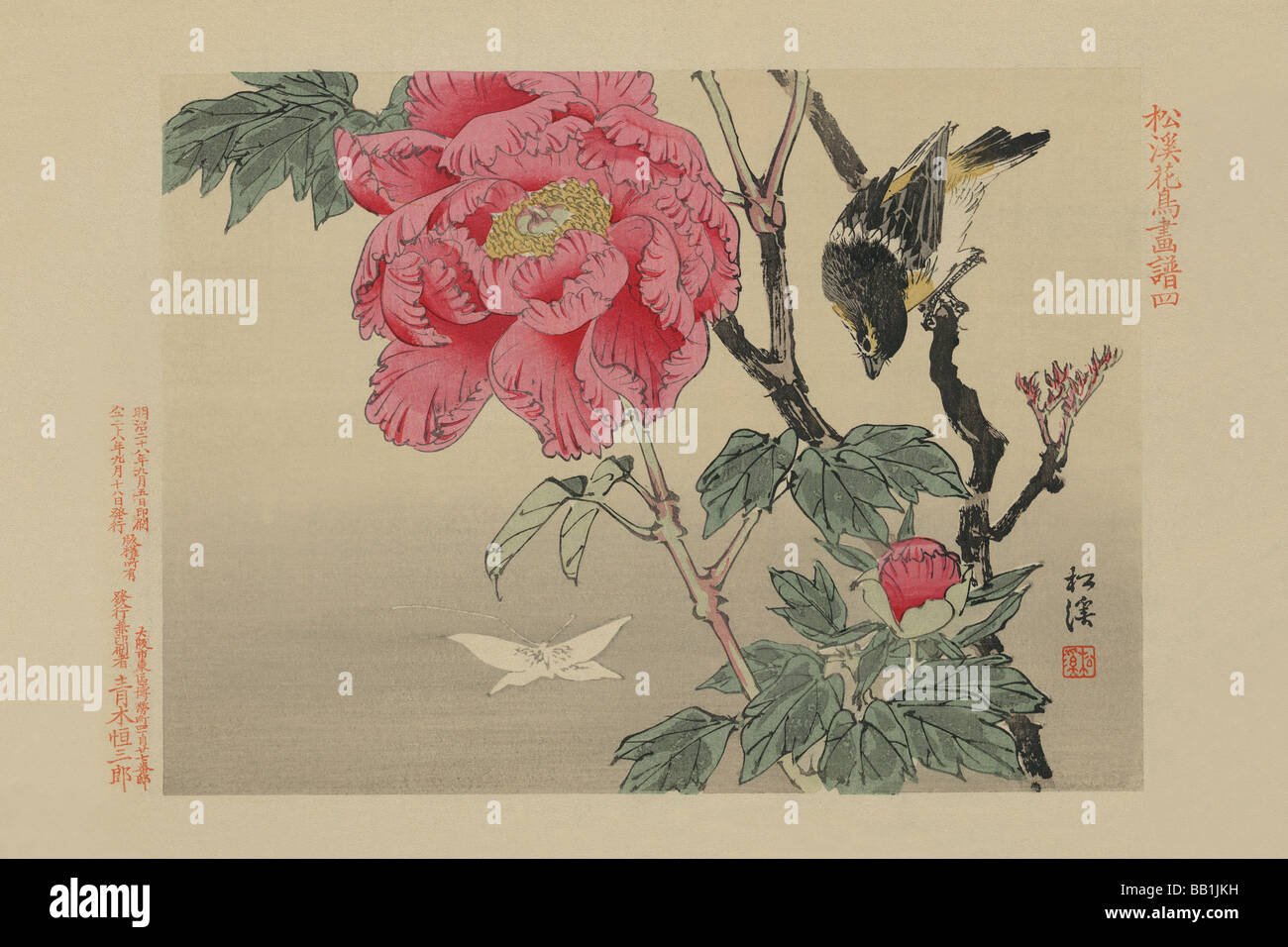 L'observation des oiseaux un papillon Banque D'Images