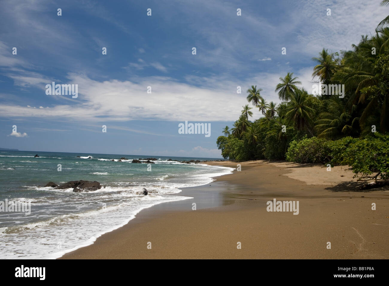 Le littoral de sable fin et de la jungle de la péninsule d'Osa le long du parc national Corcovado au Costa Rica. Banque D'Images