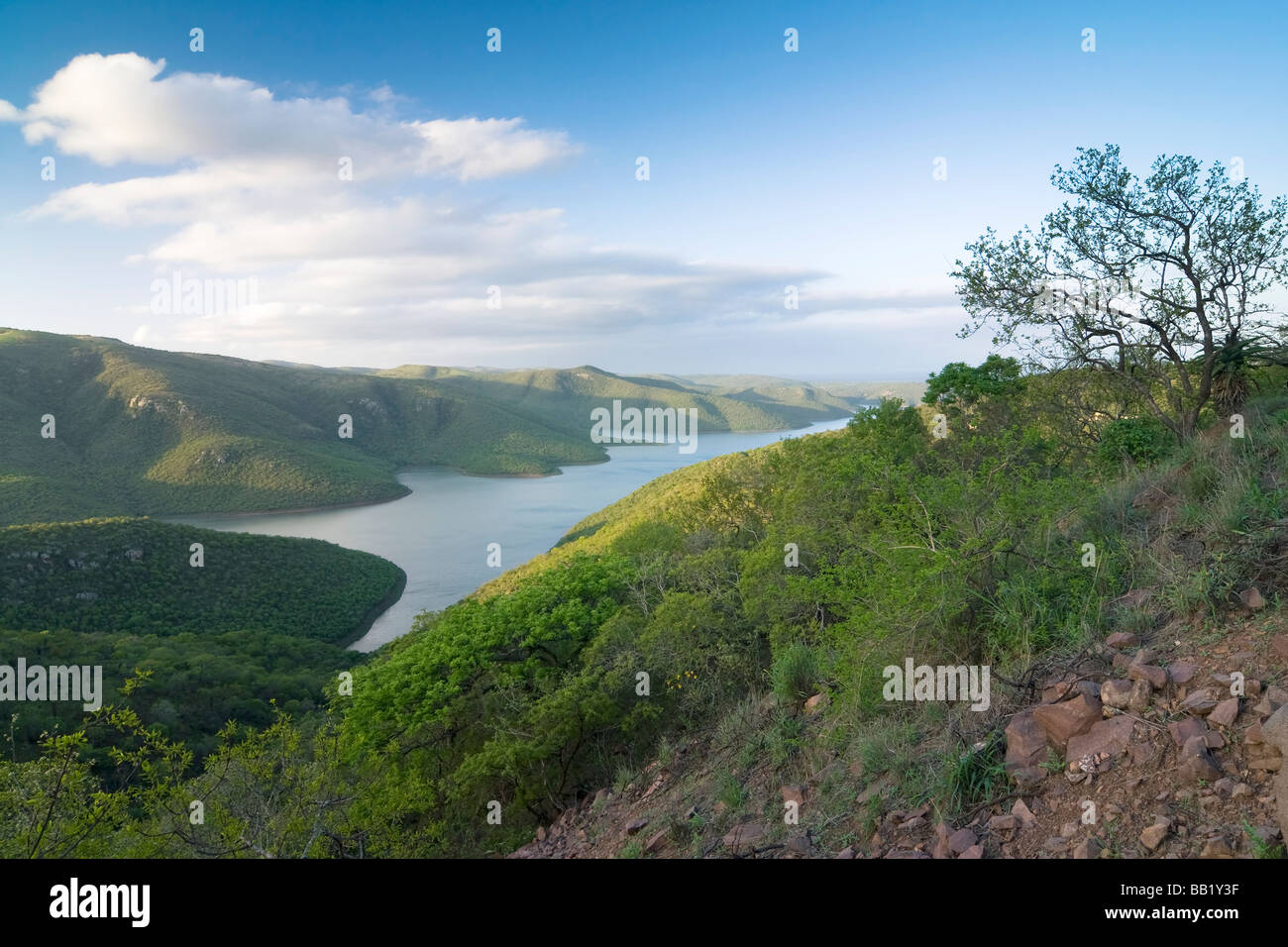 Une vallée inondée de Jozini Dam (Pongolapoort), de la province de KwaZulu-Natal, Afrique du Sud Banque D'Images