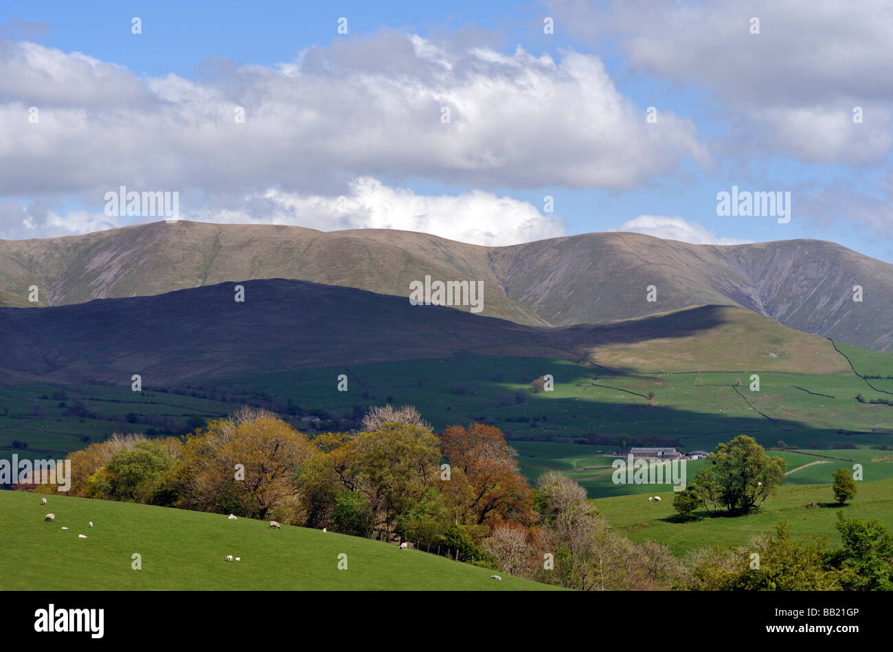 Les Fells Cap Sud vu de Lambrigg, Cumbria, Angleterre, Royaume-Uni, Europe. Banque D'Images