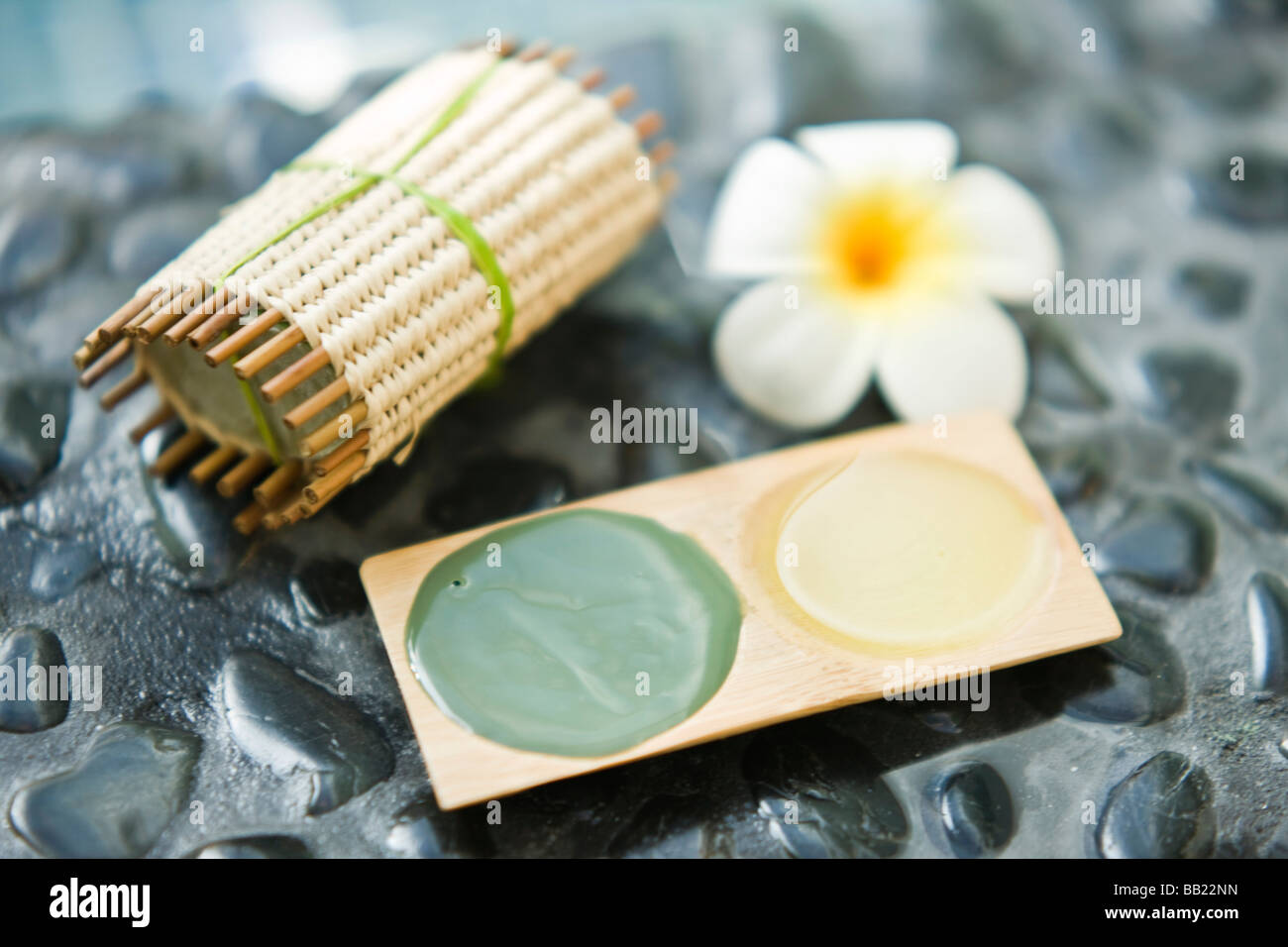Close-up d'un pain de savon avec une fleur et un bac de boue marine Banque D'Images