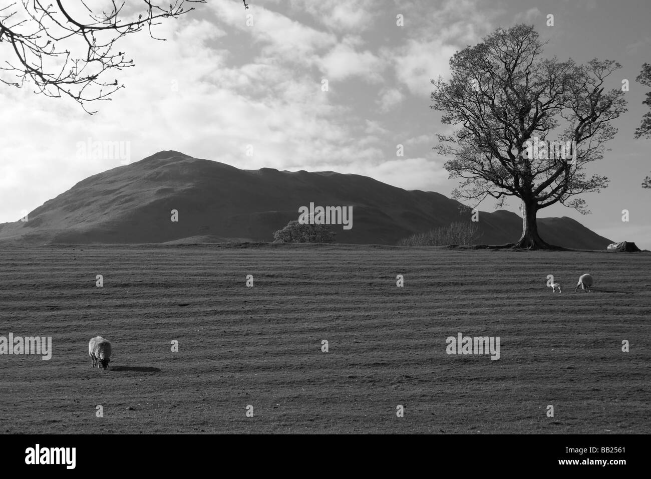 A faible,Cumbria Banque D'Images