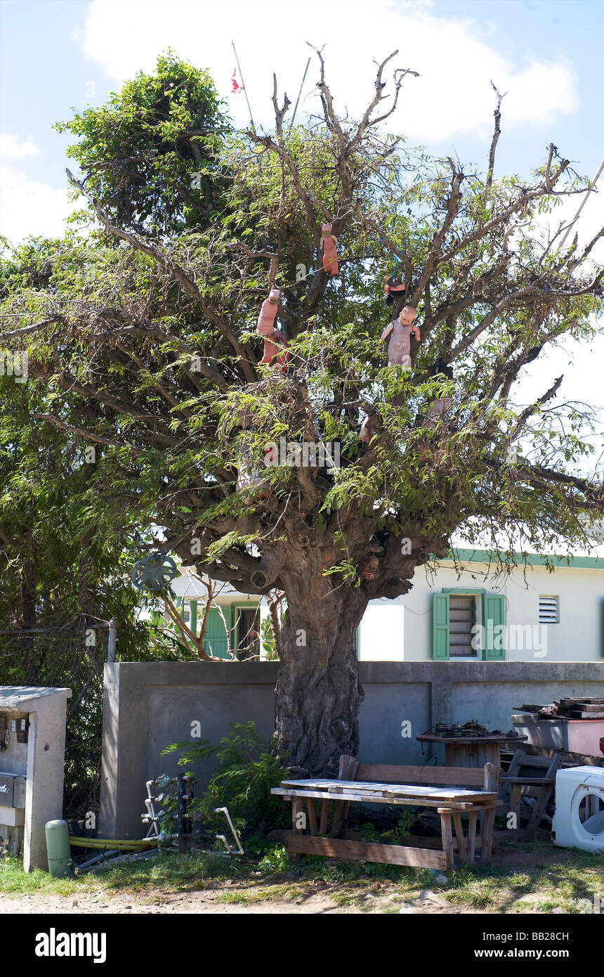 Bovenwinden antilles antilles caraïbes bovenwindse de jour jour dutch eiland eilanden antilles island moindre maarten martin Banque D'Images