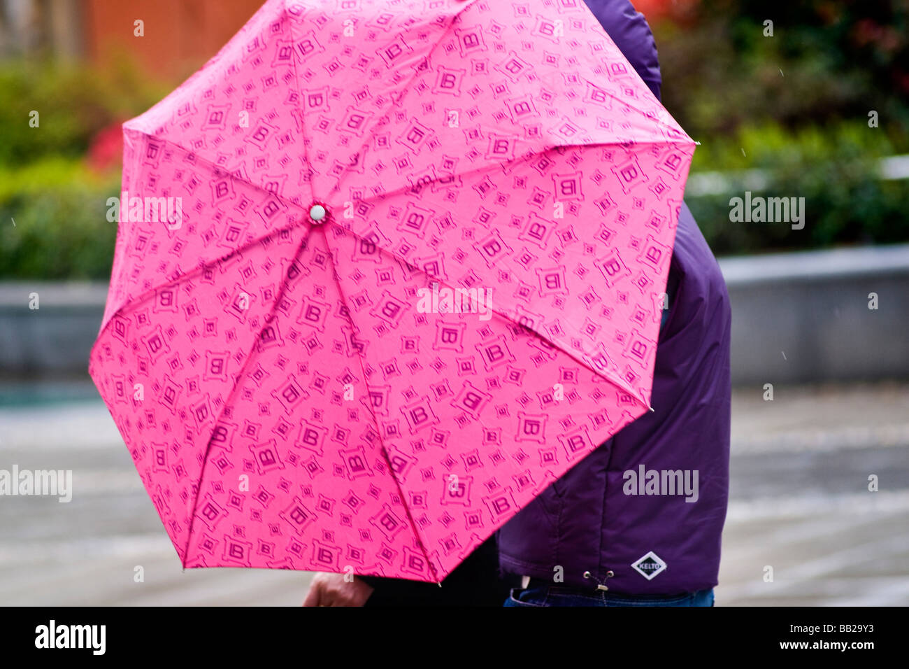 pluie Banque D'Images