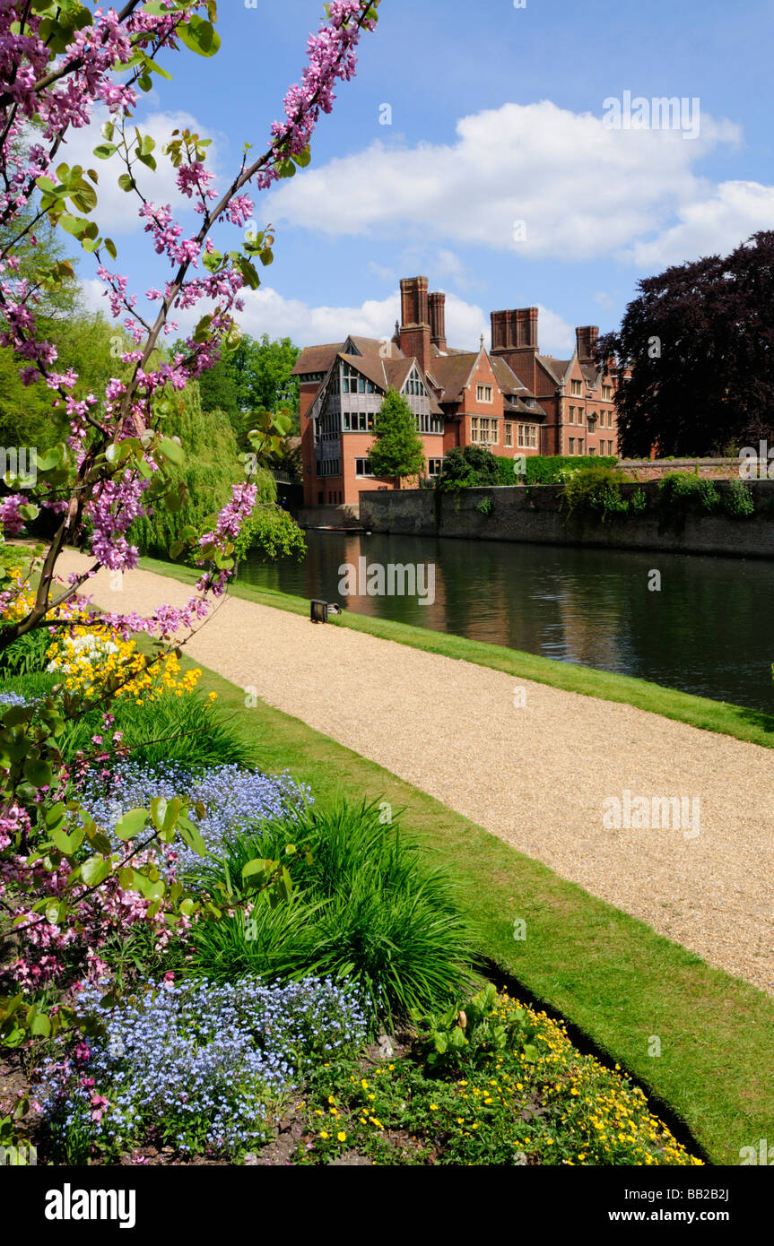 Le jerwood Bibliothèque au Trinity Hall College vu du jardin Fellows à Clare College Cambridge Angleterre Uk Banque D'Images