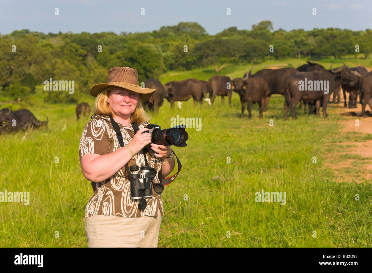 Photographe professionnel prise de photo de l'eau, Syncerus caffer, jeu 'Réserver', 'South Africa' MR Banque D'Images