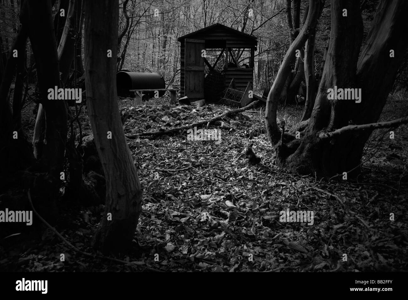 Spooky shack dans le bois Banque D'Images