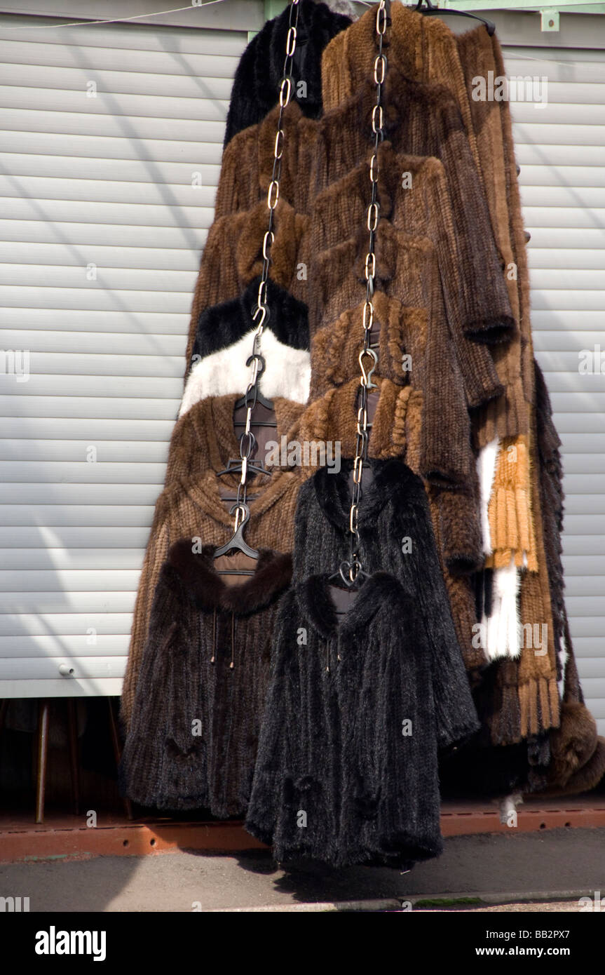 La Russie, l'Volga-Baltic Goritzy, voie d'eau. Les manteaux de fourrure de  vison pour la vente. (RF Photo Stock - Alamy