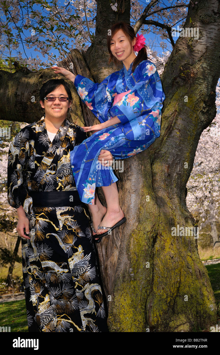 Fiancees à un vieux Cerisier japonais vêtus de kimonos au printemps Prunus serrulata Sakura Somei-Yoshino à High Park, Toronto Banque D'Images