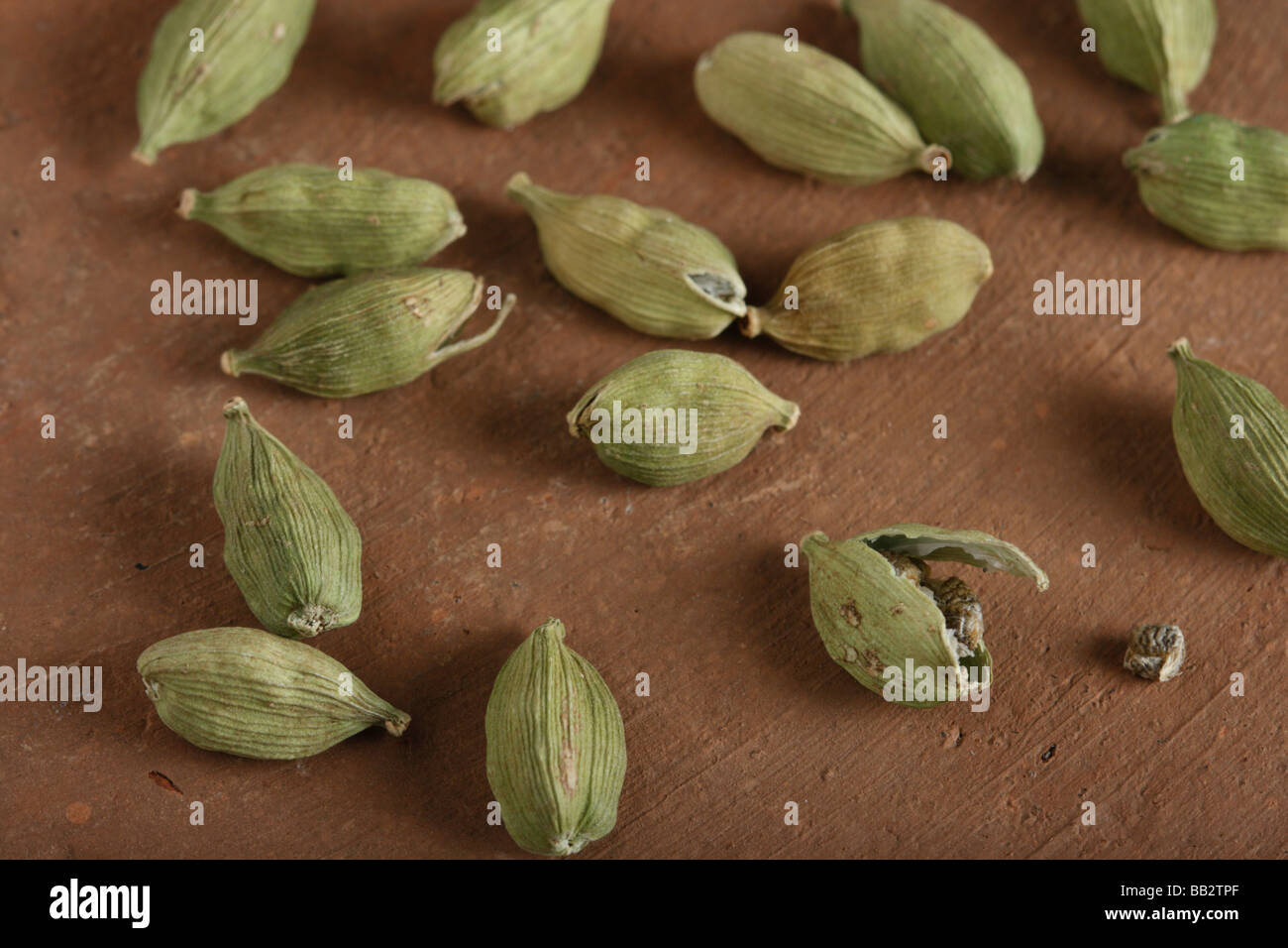 La cardamome verte est une épice indienne populaire avec de nombreux usages Banque D'Images
