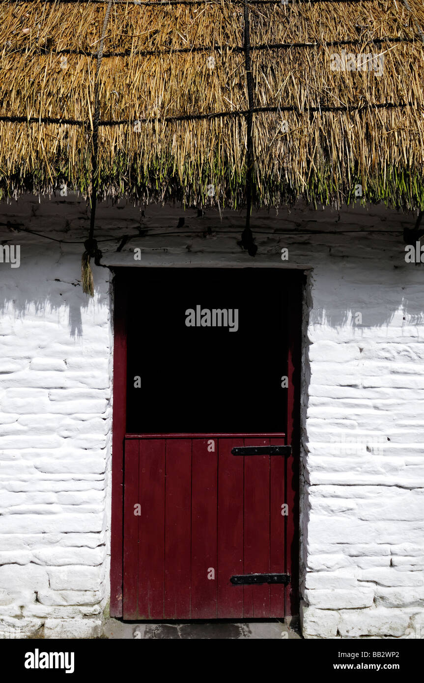 Cottage au toit de chaume avec porte en bois rouge à demi ouverte châssis de fenêtre blanc traditionnel en pierre peint en blanc, l'Irlande Banque D'Images