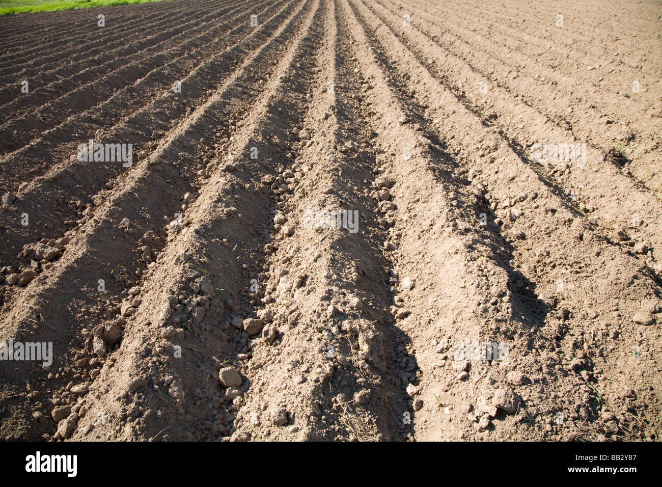 Parcelle de terre en jachère Banque D'Images
