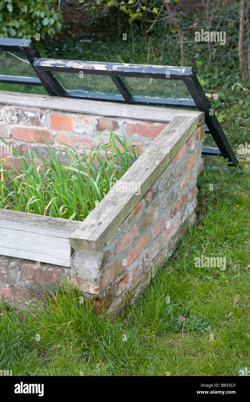 Cloche de jardin. Styal, Cheshire, Royaume-Uni. Banque D'Images